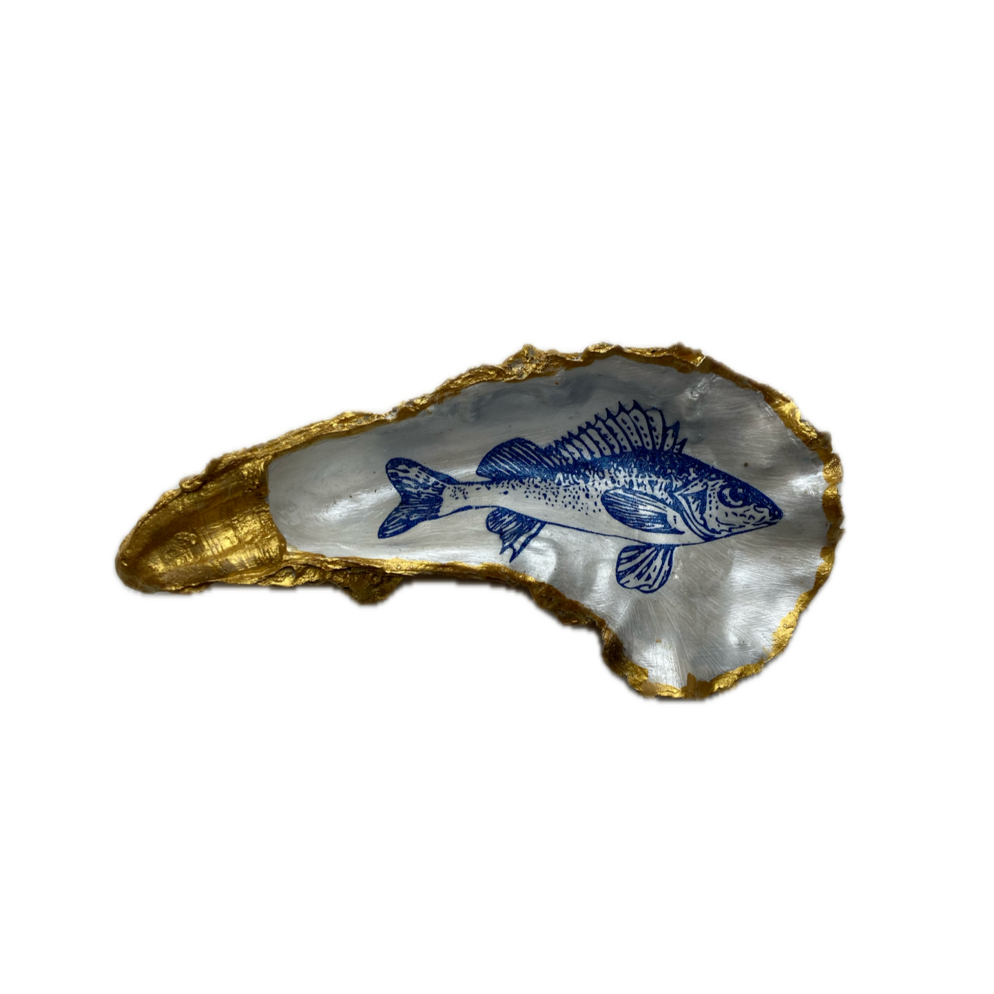 XXL Oesterschelp No. 8997