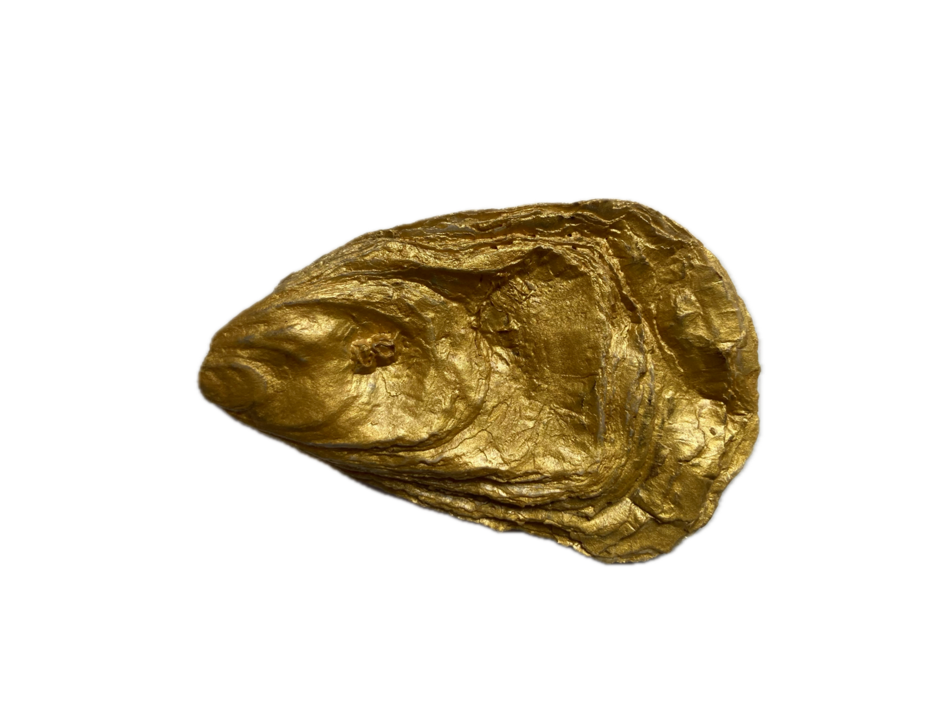 Gouden oester lijkt op Chinese goudstukken