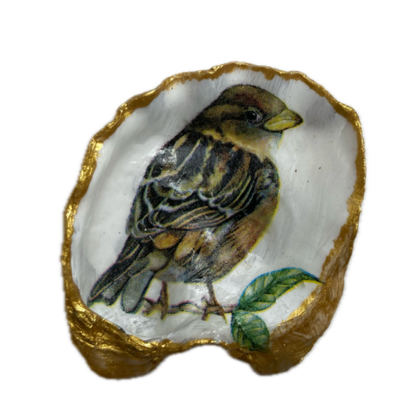 Kleine oesterschelp No. 8015