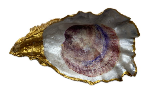 Oesterschelp No. 9333