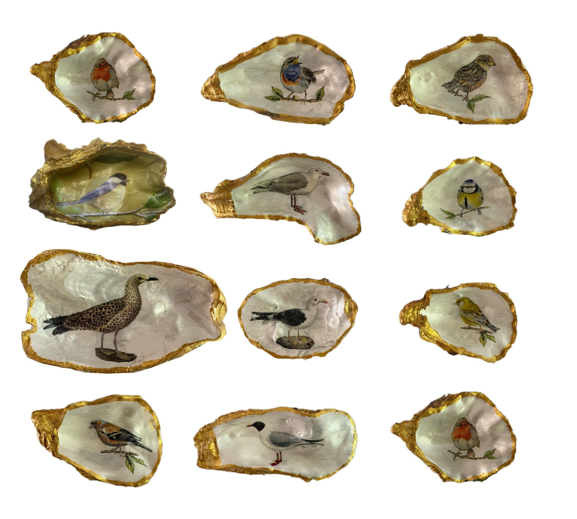 Oesterschelp met diverse vogeltjes