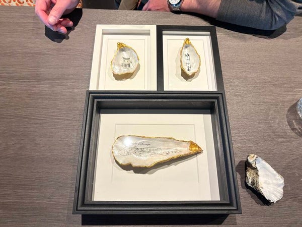 XL Oesterschelp Terschelling