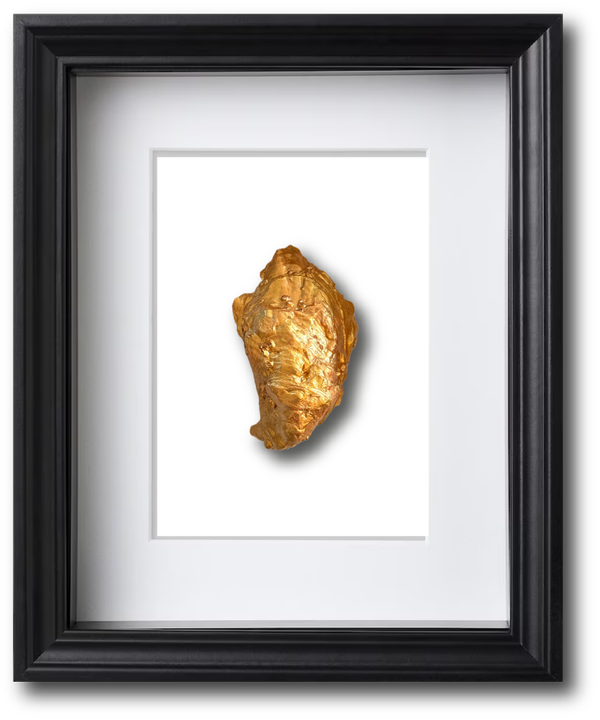ZWARTE LIJST WIT ENKELE GOUDEN OESTER BOL