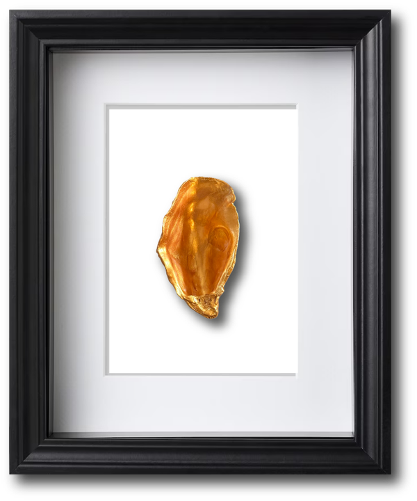 ZWARTE LIJST WIT ENKELE GOUDEN OESTER HOL