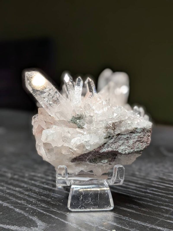 Pink lemurian