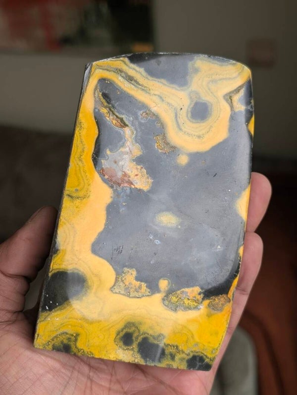 Bumblebee Jasper 712Gr