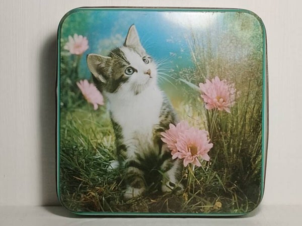 Vintage kitten biscuit tin.