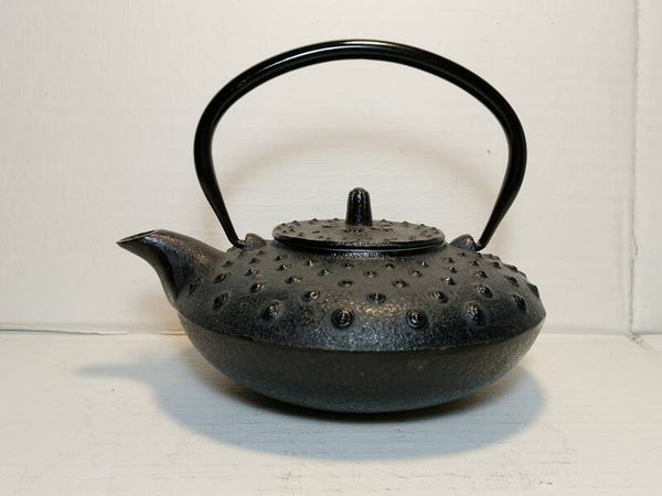 Japanese cast iron tetsusin teapot.