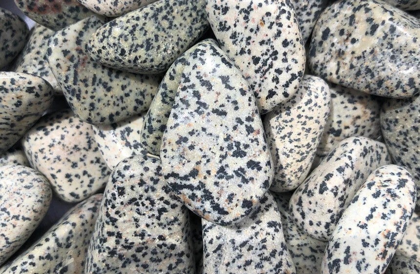 dalmatier jaspis wit zwarte stippen 