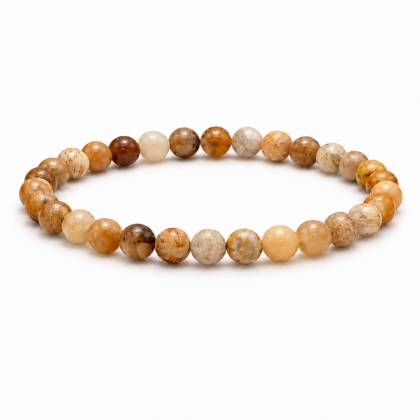 Fossiel Koraal armband 6 mm