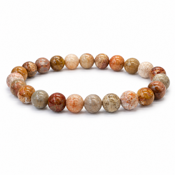 Fossiel Koraal armband 8 mm