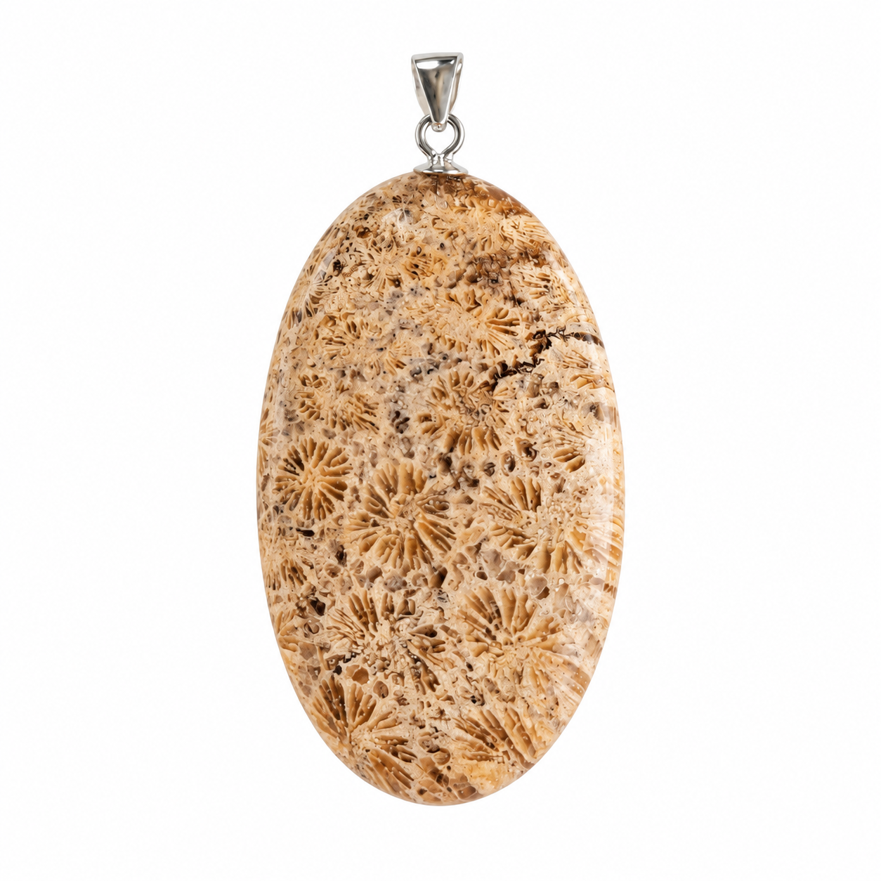 Fossiel Koraal hanger cabochon ovaal groot zilver nr. 2