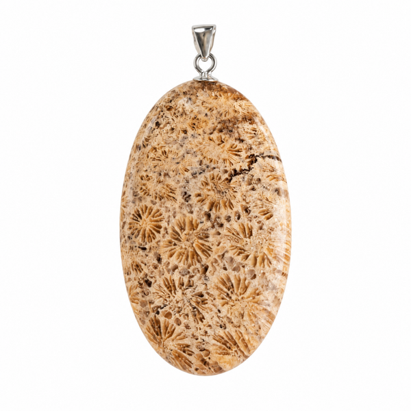 Fossiel Koraal hanger cabochon ovaal groot zilver nr. 2