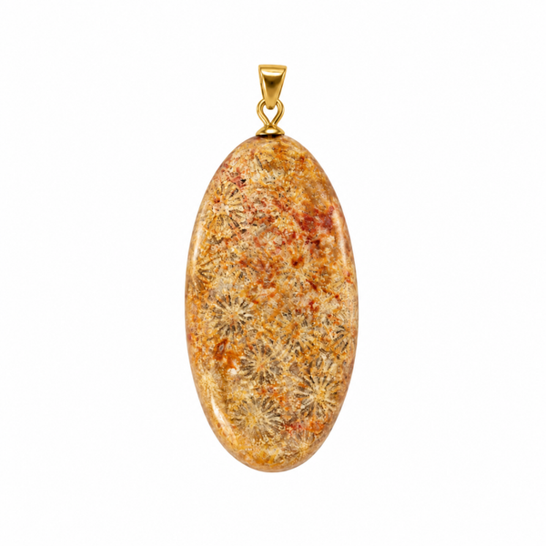 Fossiel Koraal hanger cabochon ovaal groot gold plated