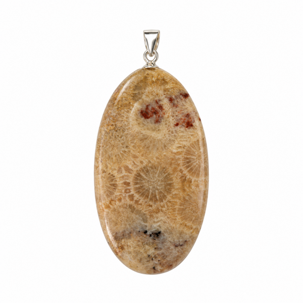 Fossiel Koraal hanger cabochon ovaal groot zilver