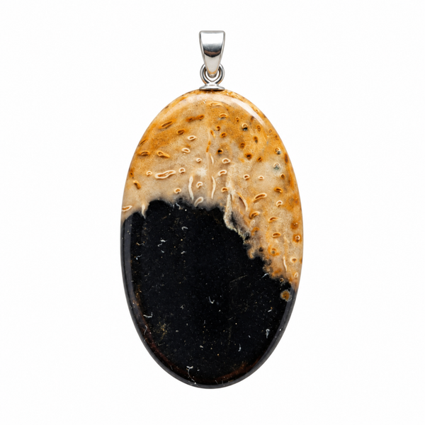 Versteend Palmhout hanger cabochon ovaal groot zilver