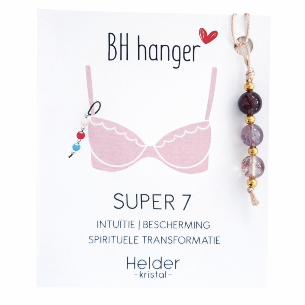 BH hanger Super 7