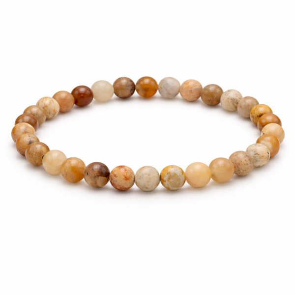 Fossiel Koraal 6mm (armband, kogel)