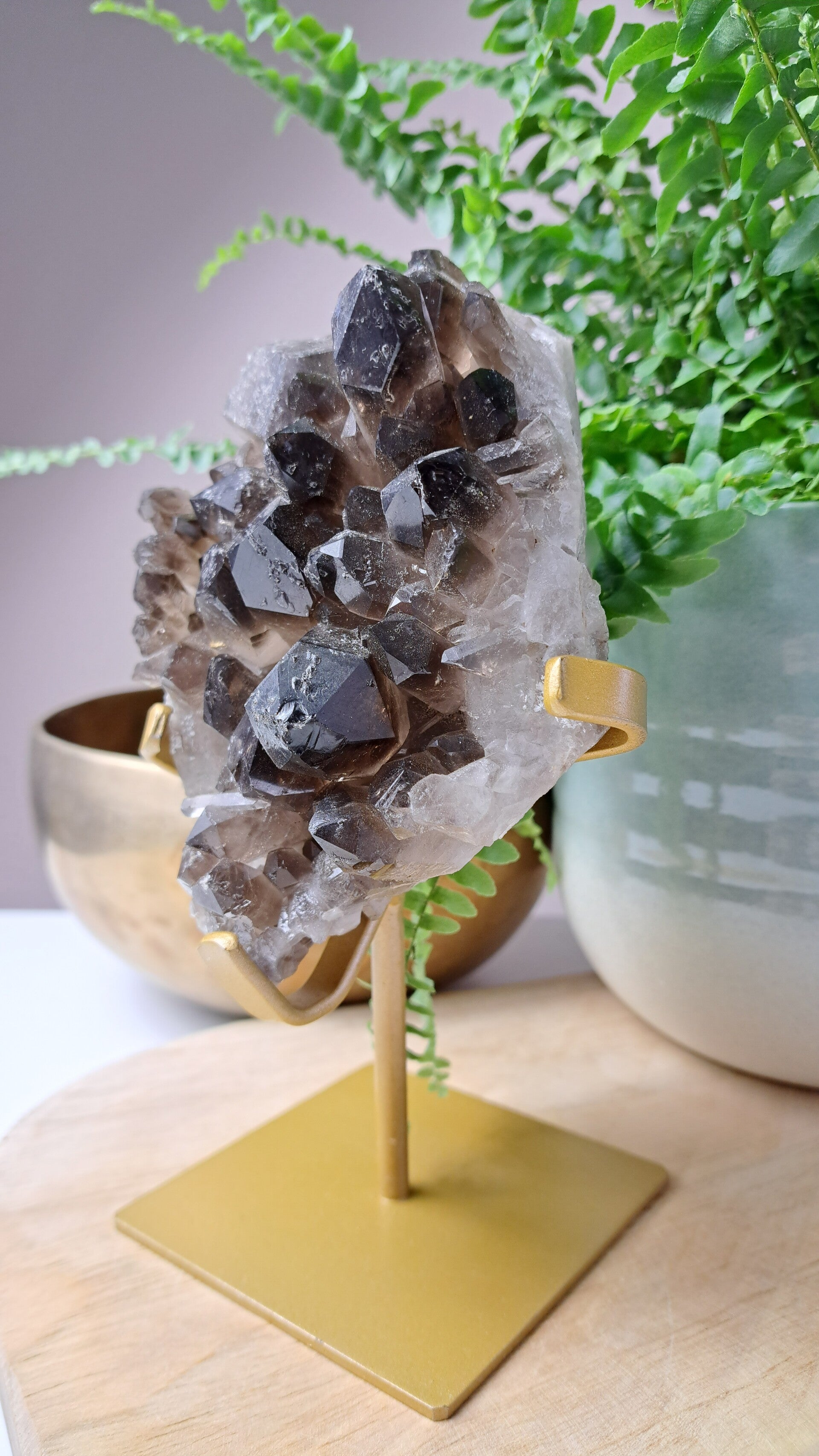 Rookkwarts cluster op standaard nr. 10