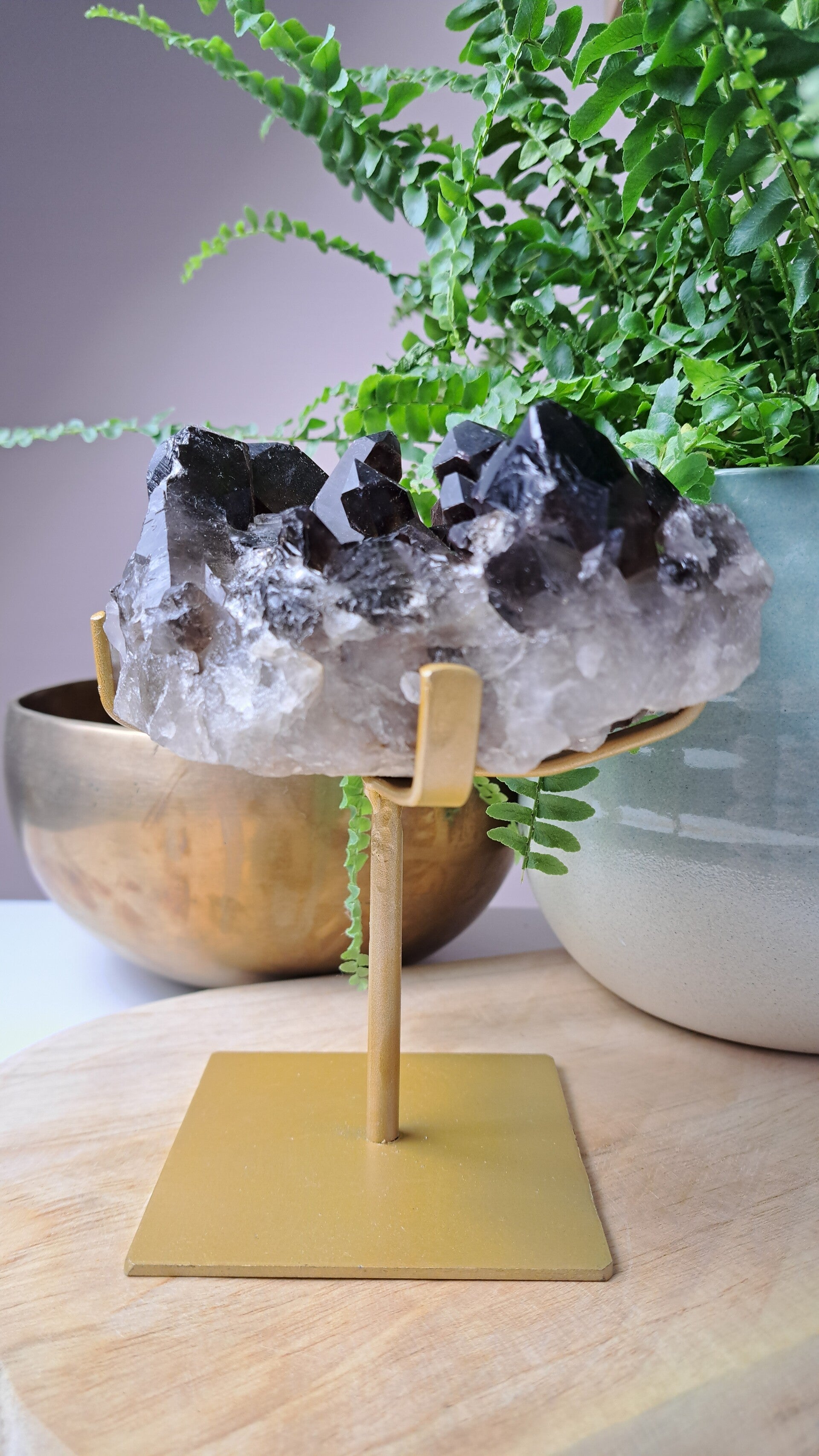 Rookkwarts cluster op standaard nr. 11