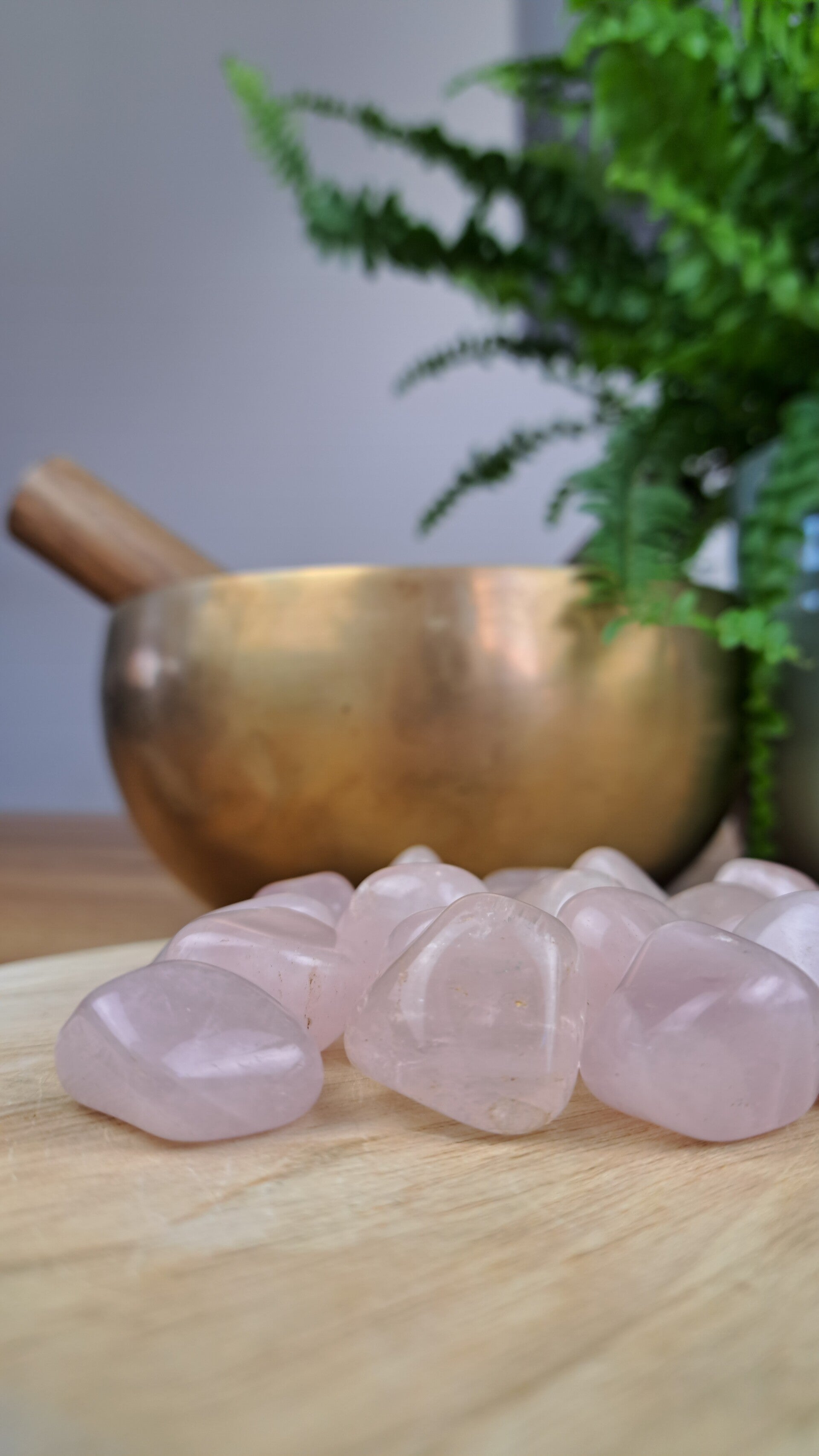 Rozenkwarts trommelsteen 20-30mm