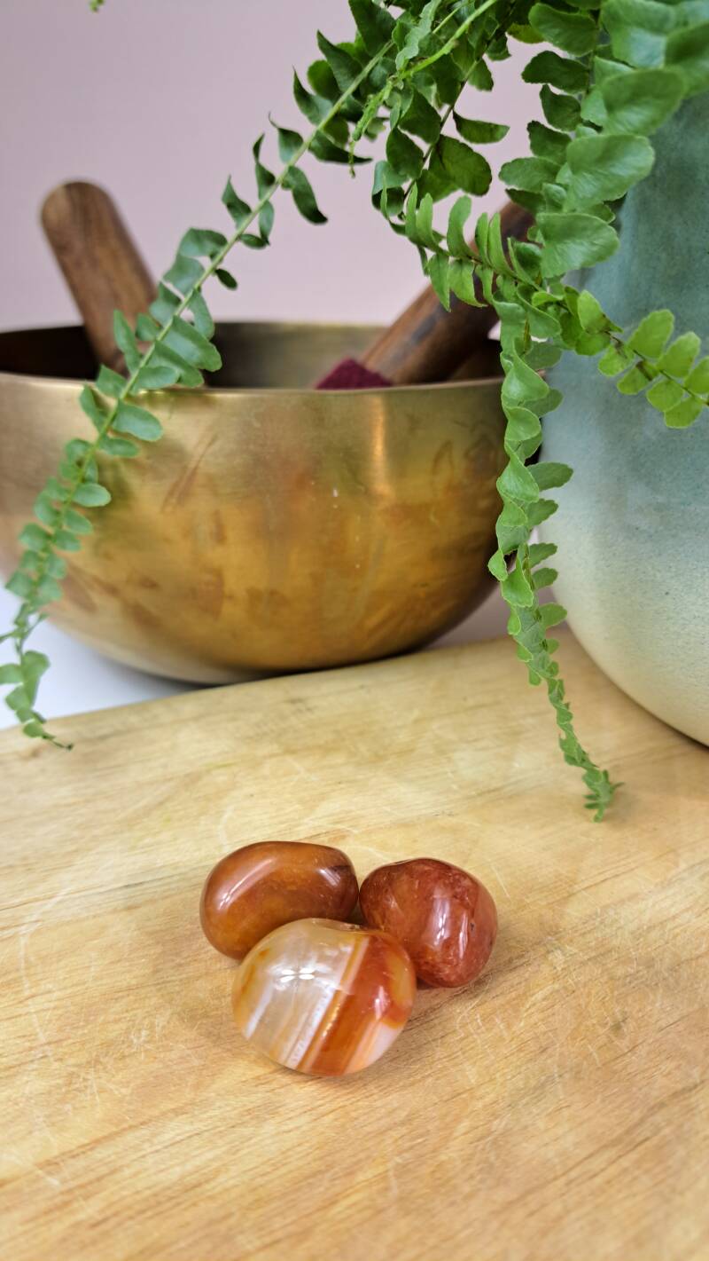 Carneool trommelsteen 35-45mm