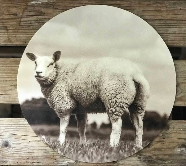 Pannenonderzetter schaap