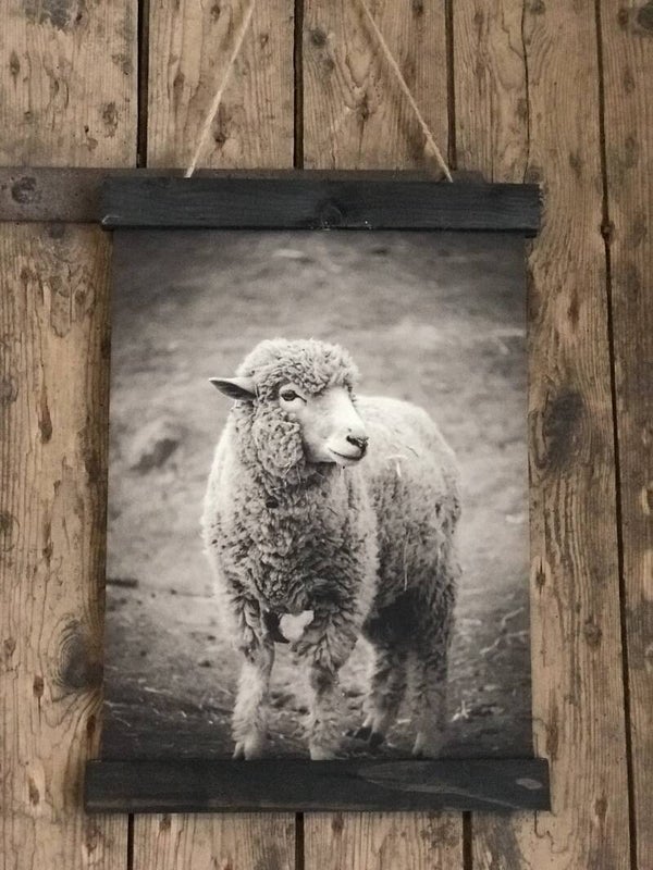 Kleine wanddoek Schaap