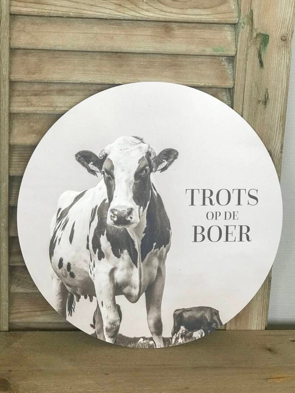 Muurcirkel koe sepia