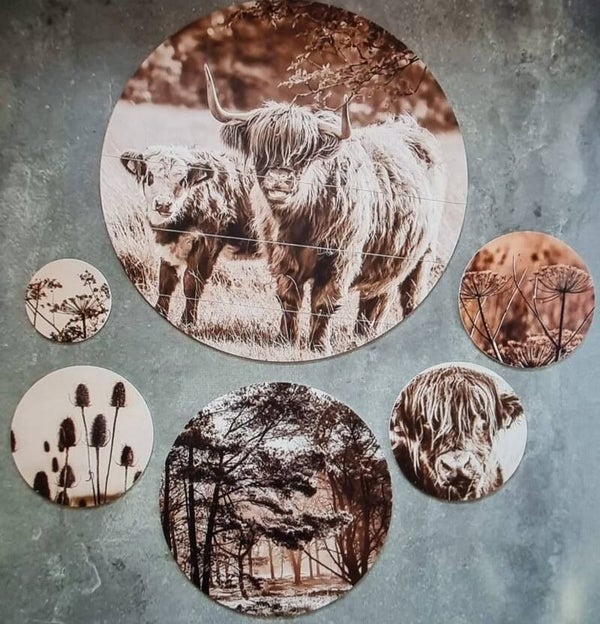 Sepia Schotse hooglander en natuur