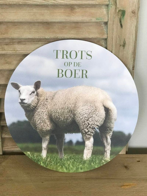 Muurcirkel schaap