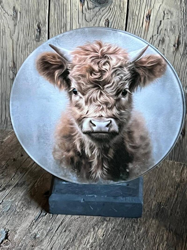 Glazen cirkel met houten standaard hooglander