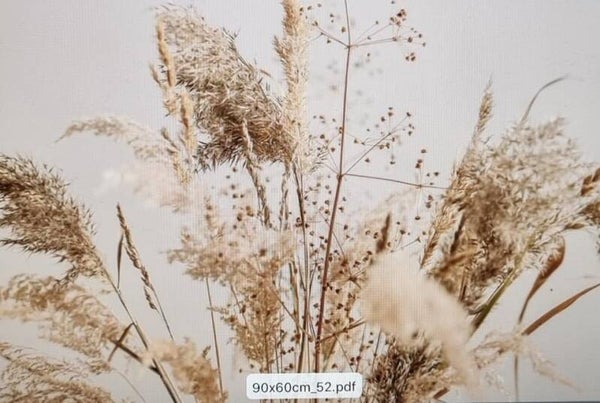 Spatscherm droogbloemen