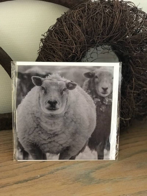 Vierkante wenskaart nr 19