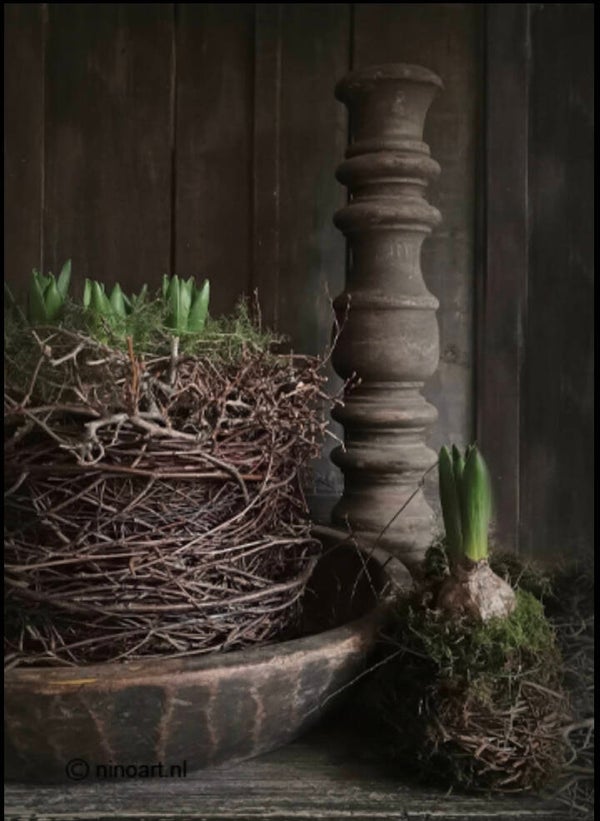 Houten bordje, vroege voorjaar