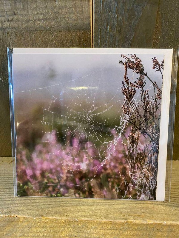 Vierkante wenskaart nr 15