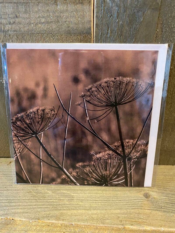 Vierkante wenskaart nr 14