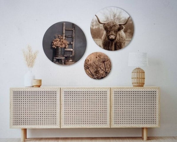 Schotse hooglander met decoratie