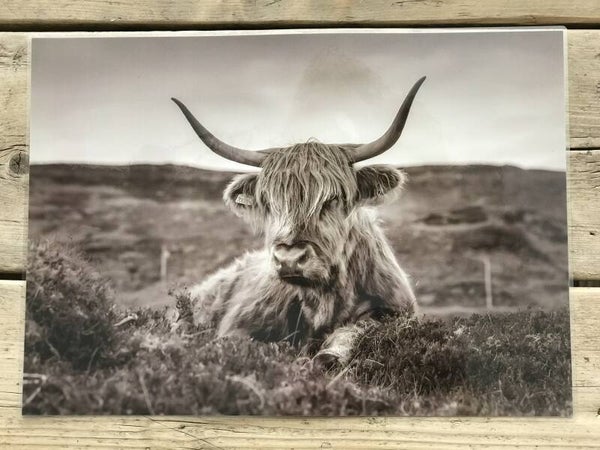 Placemat liggende Schotse hooglander, sepia (nr45)