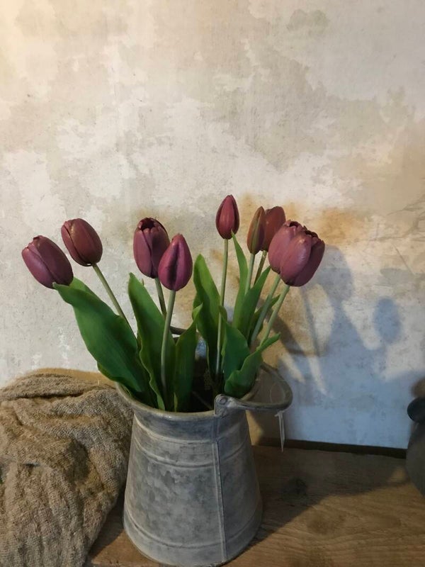 Bosje paarse tulpen