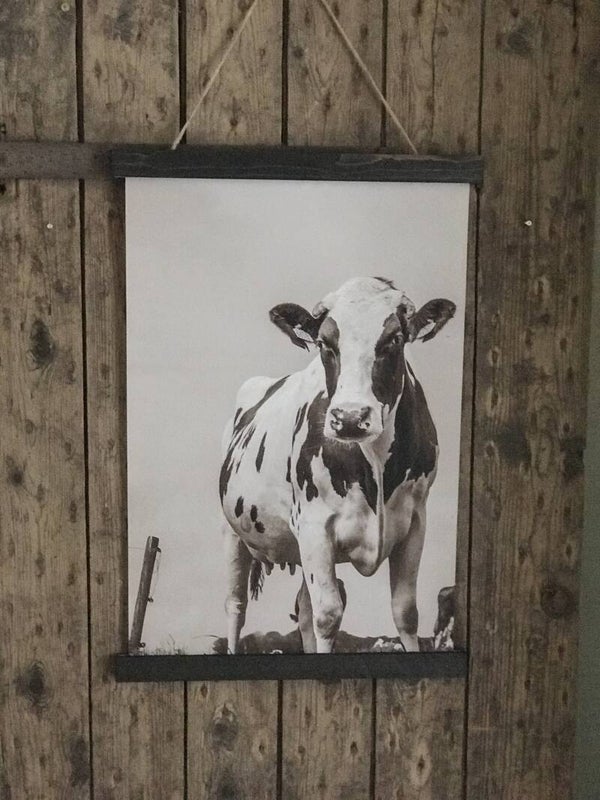 Wanddoek koe