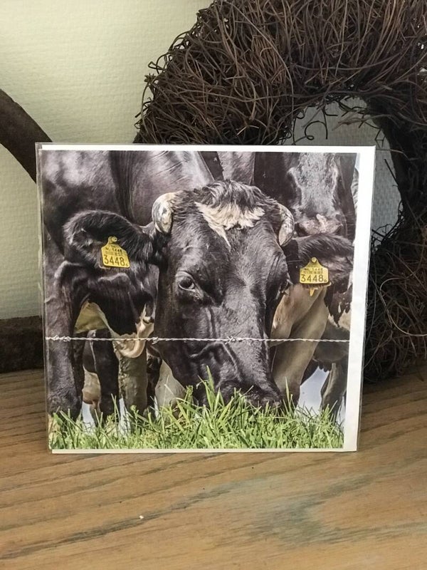 Vierkante wenskaart nr 27