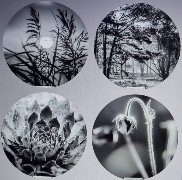 Set zwart wit bloemen