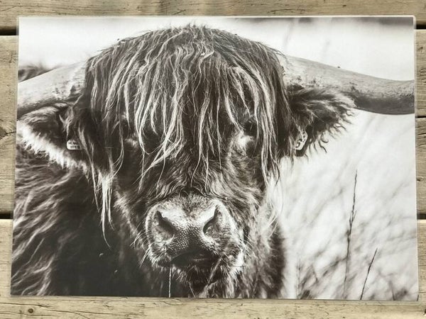 Placemat Schotse hooglander, sepia (nr1)