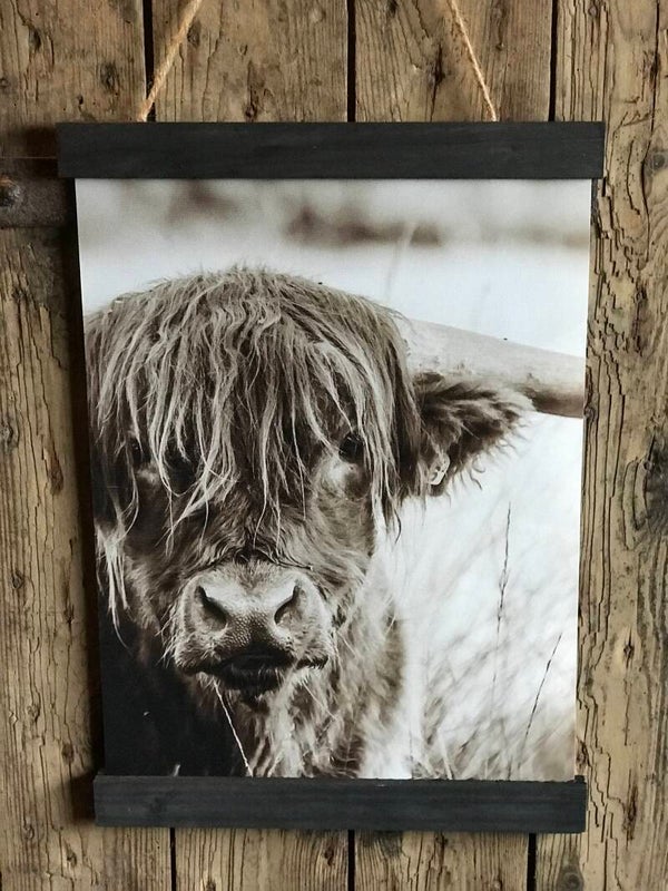 Kleine wanddoek Schotse hooglander nr 131