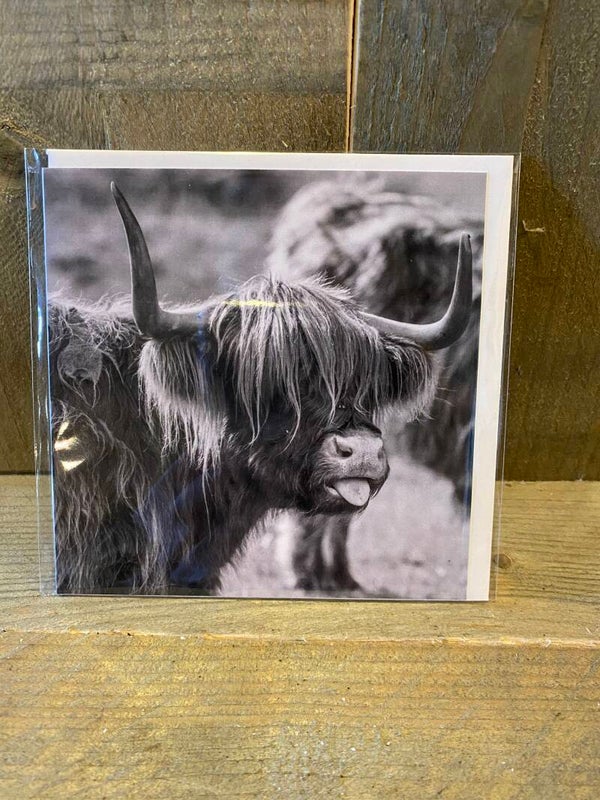 Vierkante wenskaart nr 9