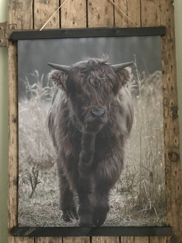 Wanddoek  Schotse hooglander (nr33)