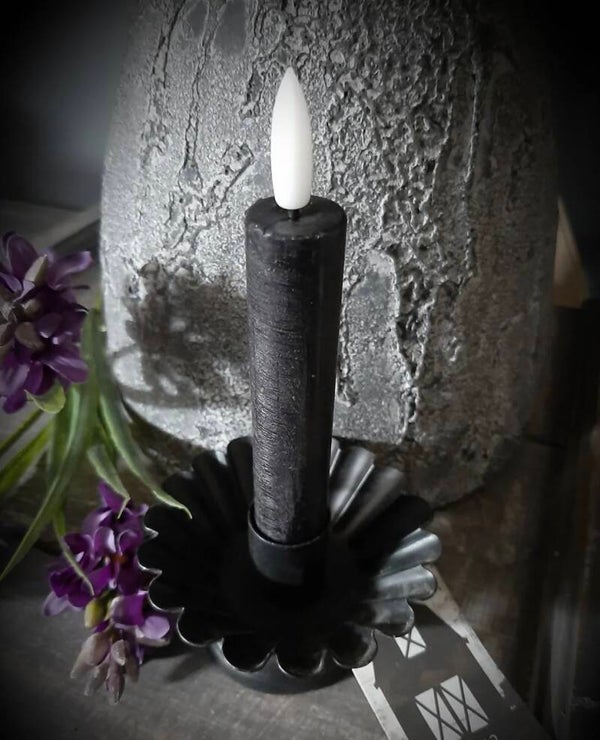 Zwarte kandelaartje