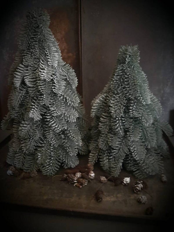 Nobilis boompje maat 40cm