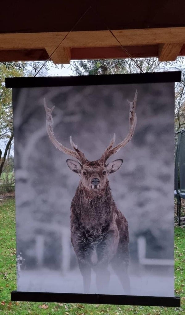 Wanddoek hert in de sneeuw. Kleur